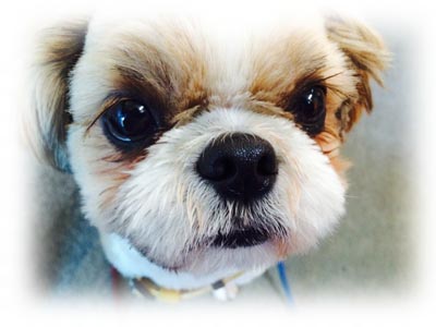 ナガイ健康回復センター