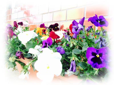 ナガイ健康回復センター