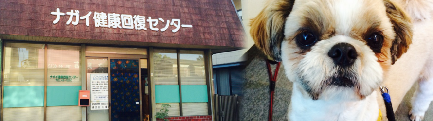 ナガイ健康回復センター